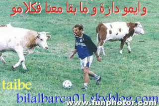 biba  bilal